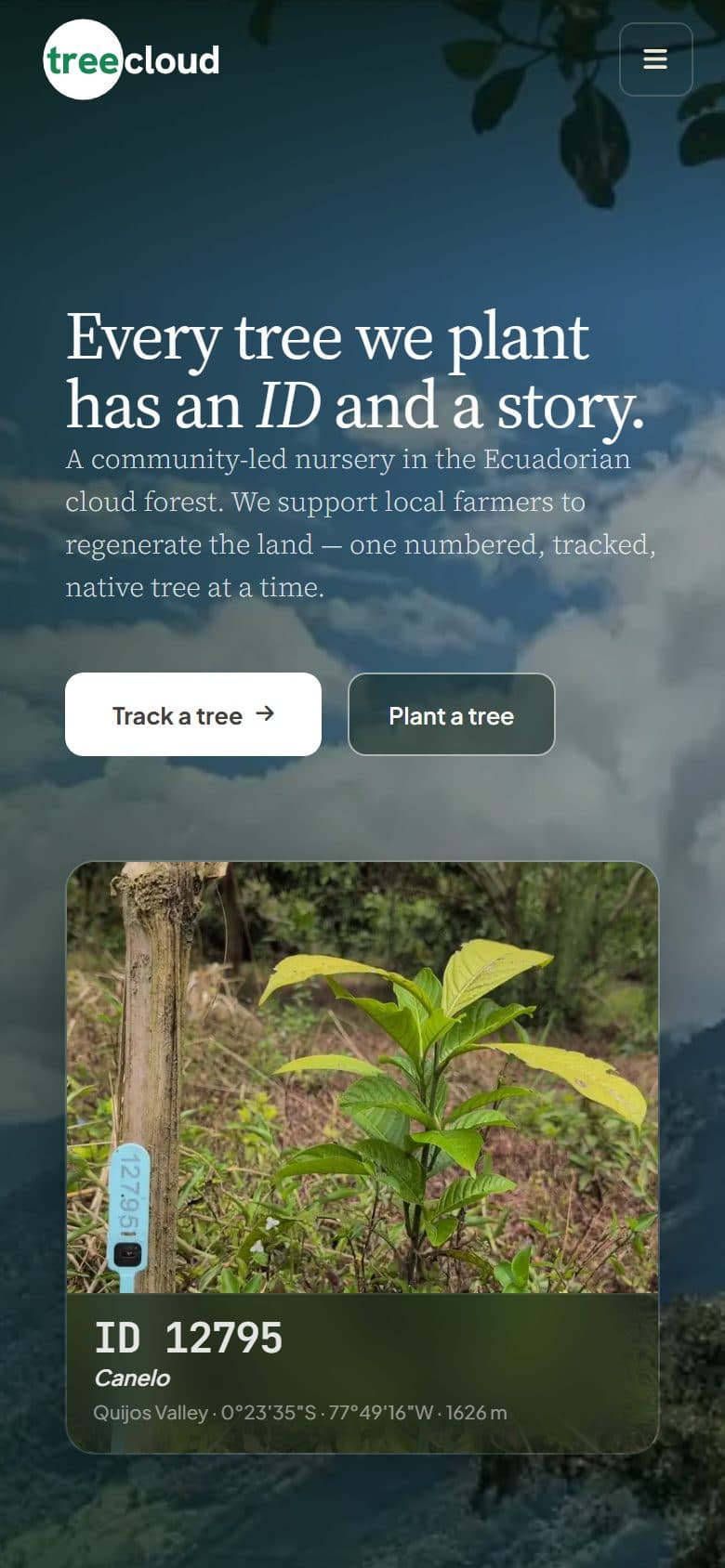 Startseite von TreeCloud auf dem Smartphone mit einem Setzling und seiner Baumnummer